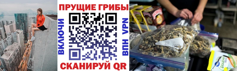 наркота  кракен вход  Псилоцибиновые грибы Cubensis  Выкса 